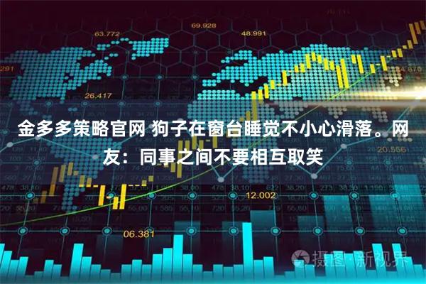 金多多策略官网 狗子在窗台睡觉不小心滑落。网友：同事之间不要相互取笑