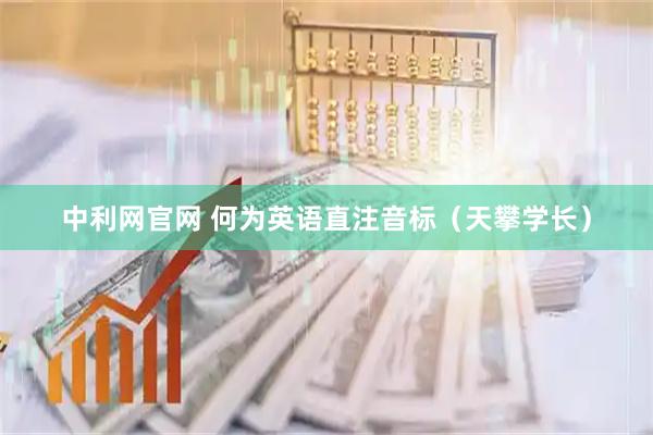 中利网官网 何为英语直注音标（天攀学长）